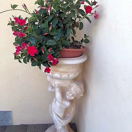 Bed and Breakfast Dolce Casa
