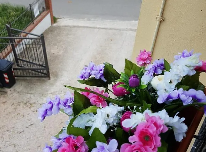 Dolce Casa Bed & Breakfast Panicarola